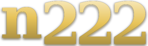 n222 logo